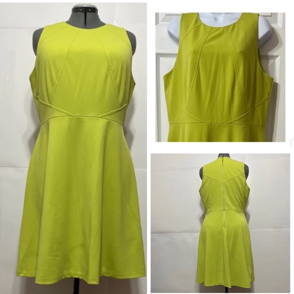 Tahari Dresses & Skirts - Tahari ASL NWOT Sz16 Green Sleeveles Fit & Flare Gold Zipper Closure Lined Dress